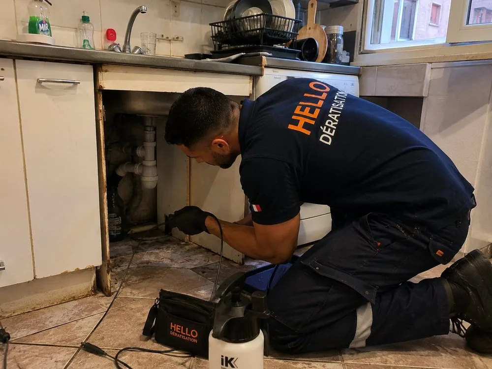 Medhi et Julien, techniciens Hello Dératisation, en intervention dans le 16e arrondissement de Marseille (13016) : traitement sous un évier de cuisine à L'Estaque