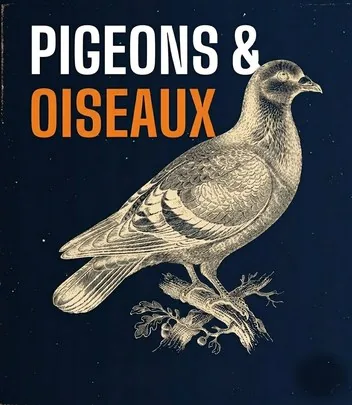 Pigeons dépigeonnage Marseille