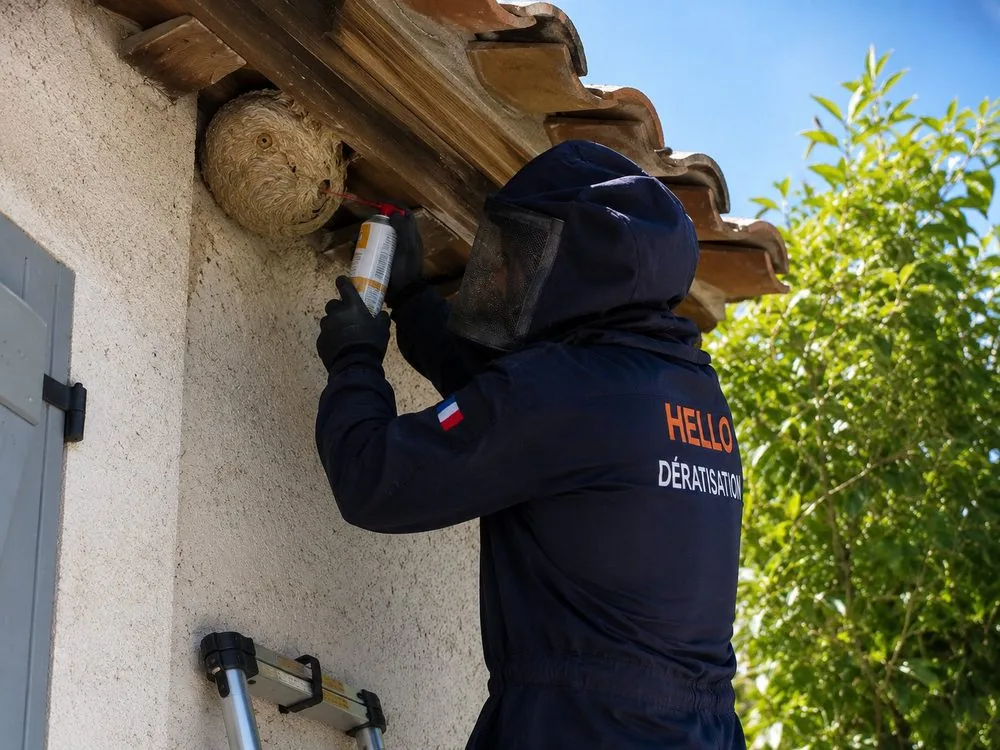 Technicien Hello Dératisation en combinaison de protection traitant un nid de guêpes sous un avant-toit à Roquevaire (13360)
