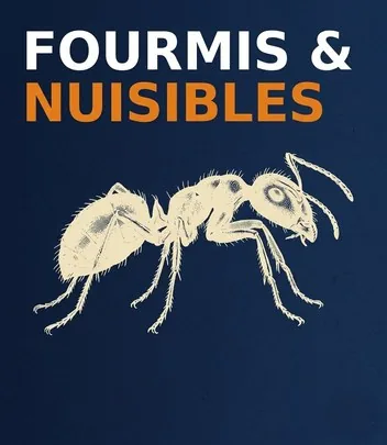 Traitement fourmis Marseille